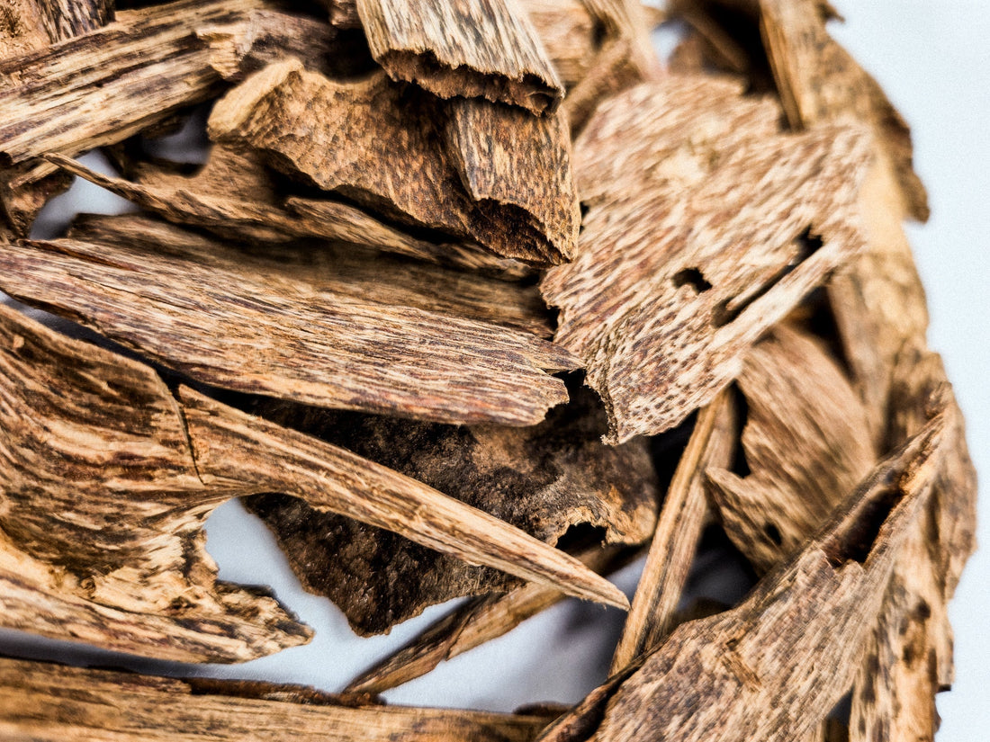 What Is Agarwood, and Why Is It So Expensive? - The Oud Trader