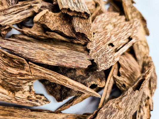 What Is Agarwood, and Why Is It So Expensive? - The Oud Trader