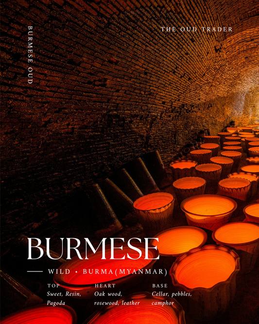 Wild Aged Myanmar (Burmese) Oud - Shay Haung Phaya ရှေးဟောင်း ဘုရား