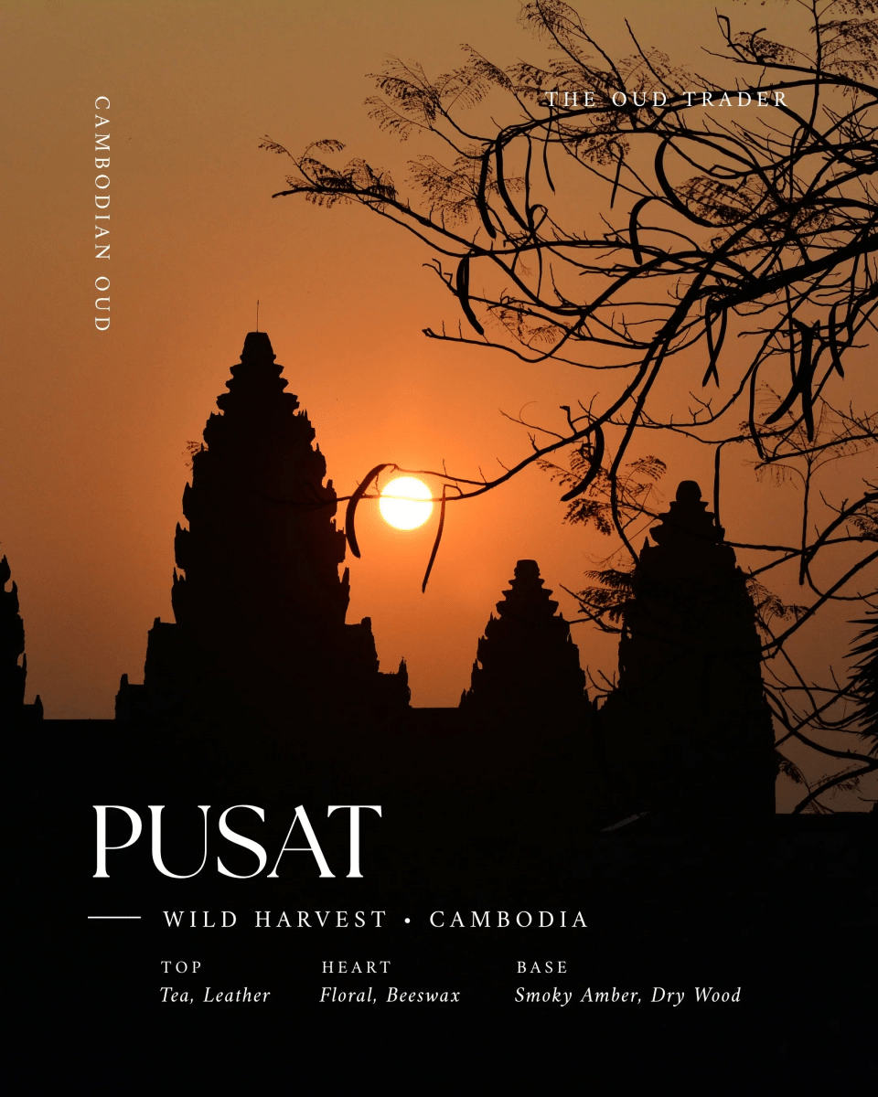 Cambodian Pusat Wild - (Oud Oil) - The Oud Trader