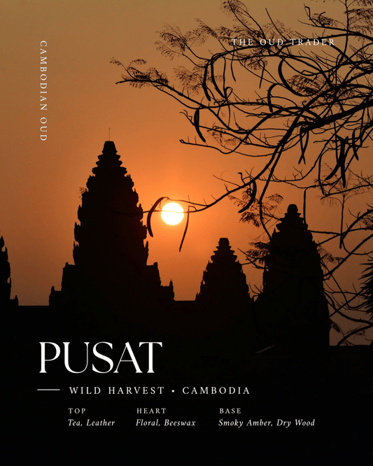 Cambodian Pusat Wild - (Oud Oil) - The Oud Trader