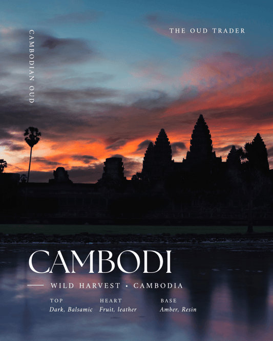 Cambodian Wild - Aged 18/19+ years - The Oud Trader