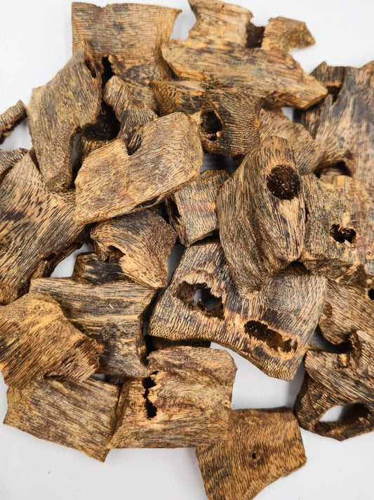 Chinese Kynam - (Oud Chip) - The Oud Trader
