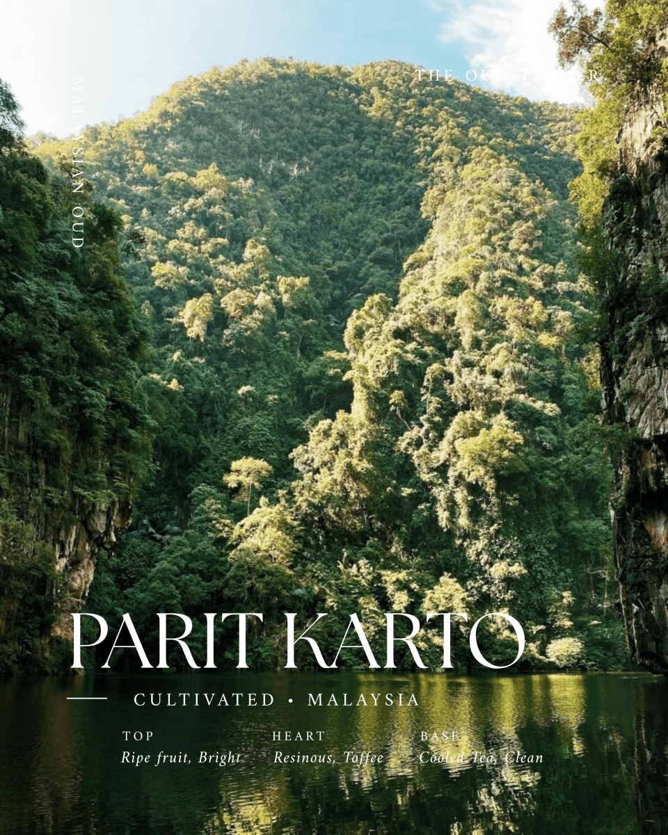 Cultivated Parit Karto, Malaysian - Raja راجا - The Oud Trader