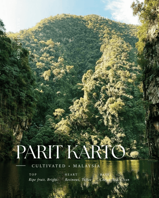 Cultivated Parit Karto, Malaysian - Raja راجا - The Oud Trader