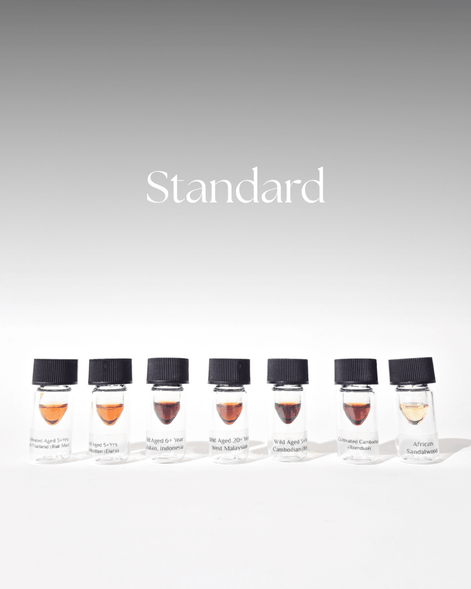 Oud Discovery Set - (Early-Supporter Price + Free Ouds) - The Oud Trader
