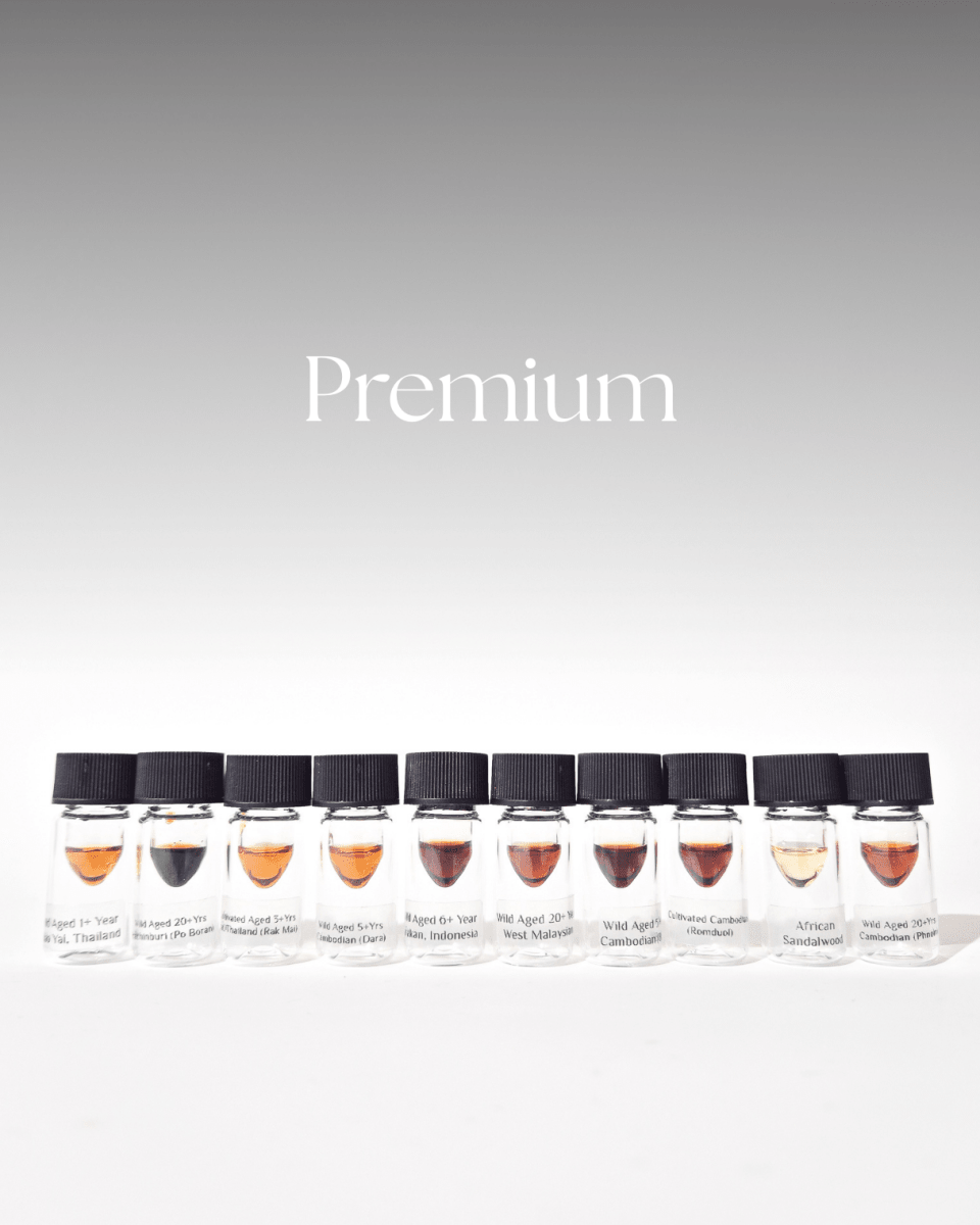 Oud Discovery Set - (Early-Supporter Price + Free Ouds) - The Oud Trader