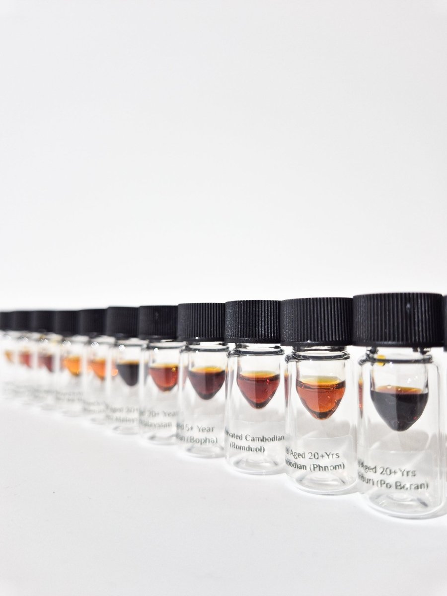 Oud Discovery Set - (Early-Supporter Price + Free Ouds) - The Oud Trader
