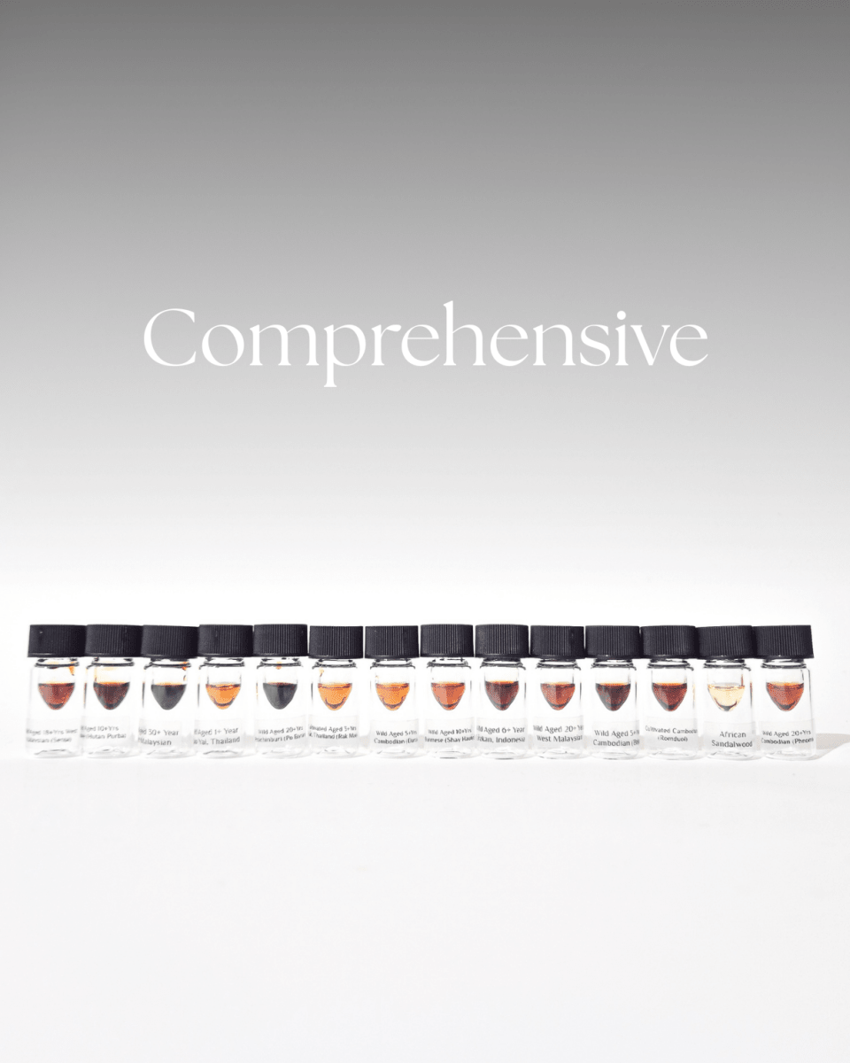 Oud Discovery Set - (Early-Supporter Price + Free Ouds) - The Oud Trader