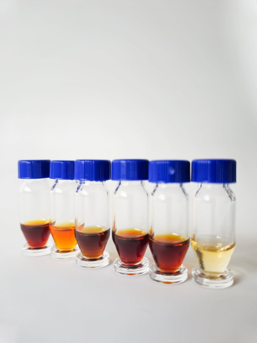Oud Oils - Discovery Set (6 Oils) - The Oud Trader