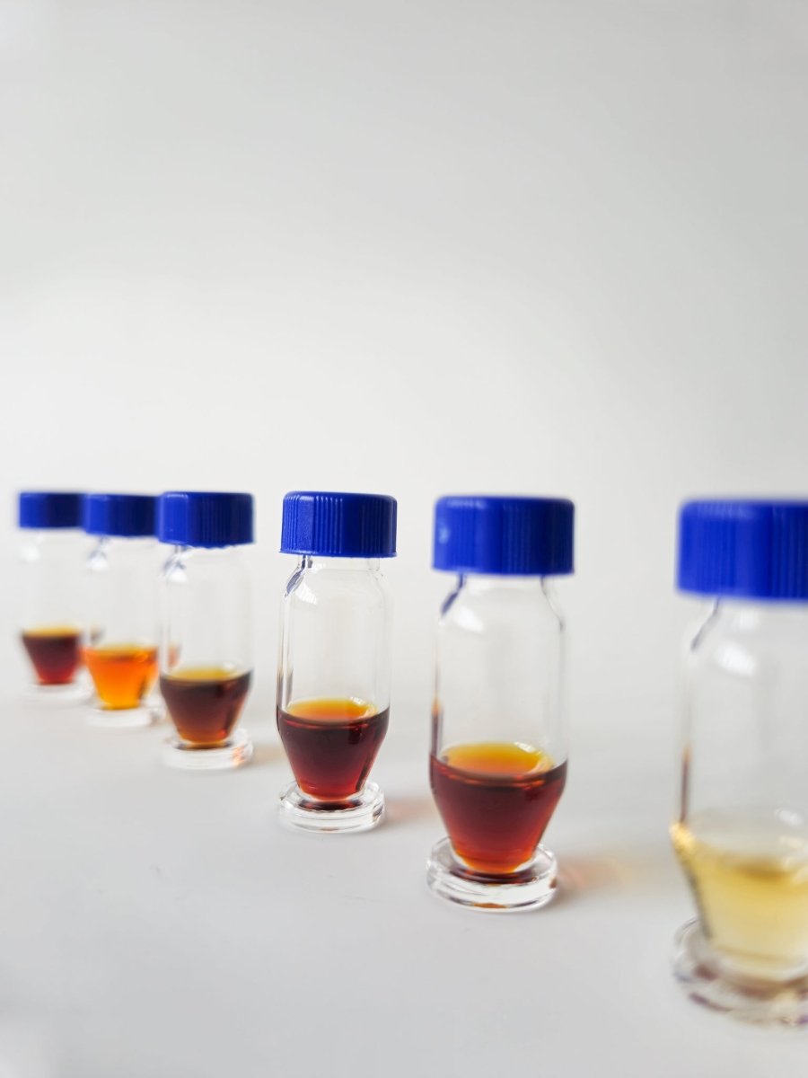 Oud Oils - Discovery Set (6 Oils) - The Oud Trader