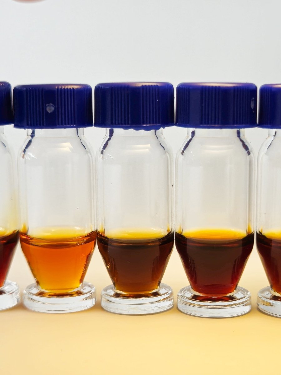 Oud Oils - Discovery Set (6 Oils) - The Oud Trader