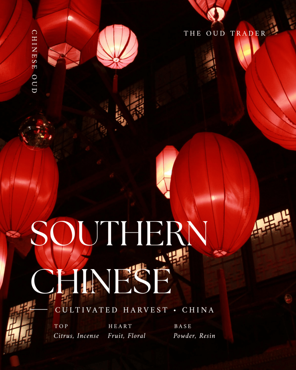 Southern China Plantation - (Oud Oil) - The Oud Trader