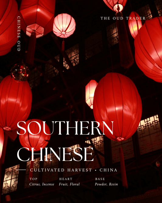 Southern China Plantation - (Oud Oil) - The Oud Trader