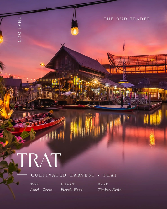 Thai Trat Plantation - (Oud Oil) - The Oud Trader