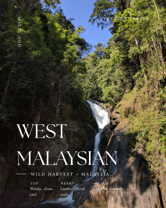 West Malaysian Wild - (Oud Oil) - The Oud Trader