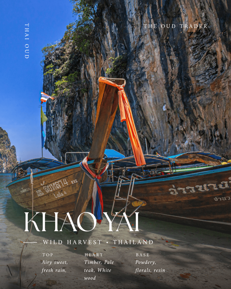 Wild Aged 1+ Year Khao Yai, Thailand (Nam Fon - น้ำฝน) - The Oud Trader