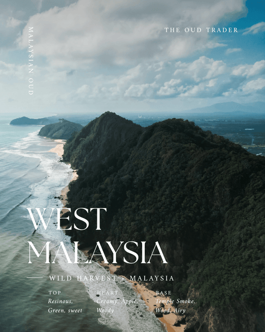 Wild Aged 18+ Years West Malaysian - Senja سنجا - The Oud Trader