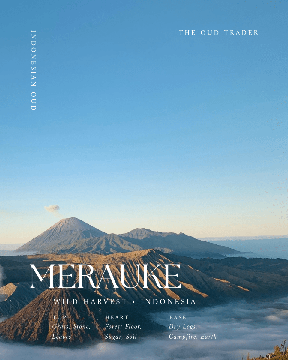 Wild Aged Merauke (Unreleased) - Hutan Purba 10+ years - The Oud Trader