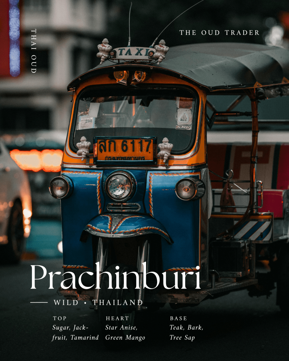Wild Aged Prachinburi — Pa Boran (ป่าโบราณ) - The Oud Trader