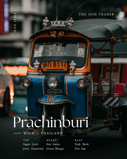 Wild Aged Prachinburi — Pa Boran (ป่าโบราณ) - The Oud Trader